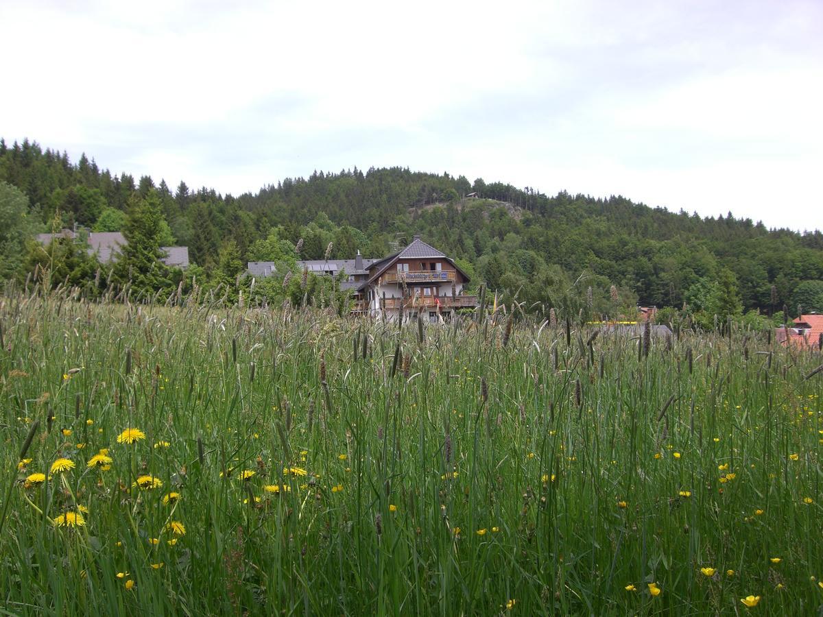 Hotel Dachsberger-Hof Wittenschwand Exterior photo